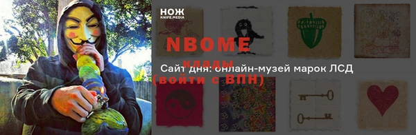 шишки Бородино