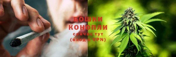соль ск Бронницы
