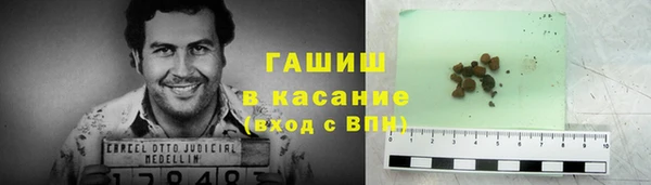 шишки Бородино