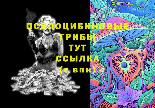 шишки Бородино