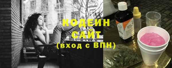 шишки Бородино