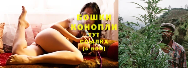 шишки Бородино