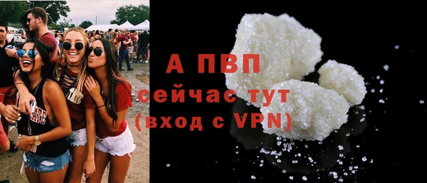 шишки Бородино