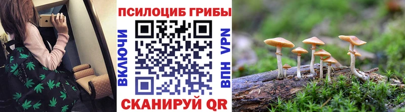 Галлюциногенные грибы мухоморы Пласт